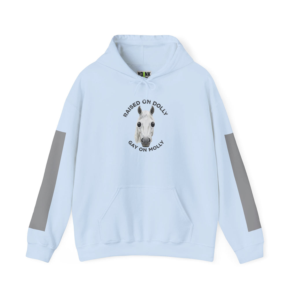 Raised Dolly- Gay Molly - Minimal Funny Graphic Pullover