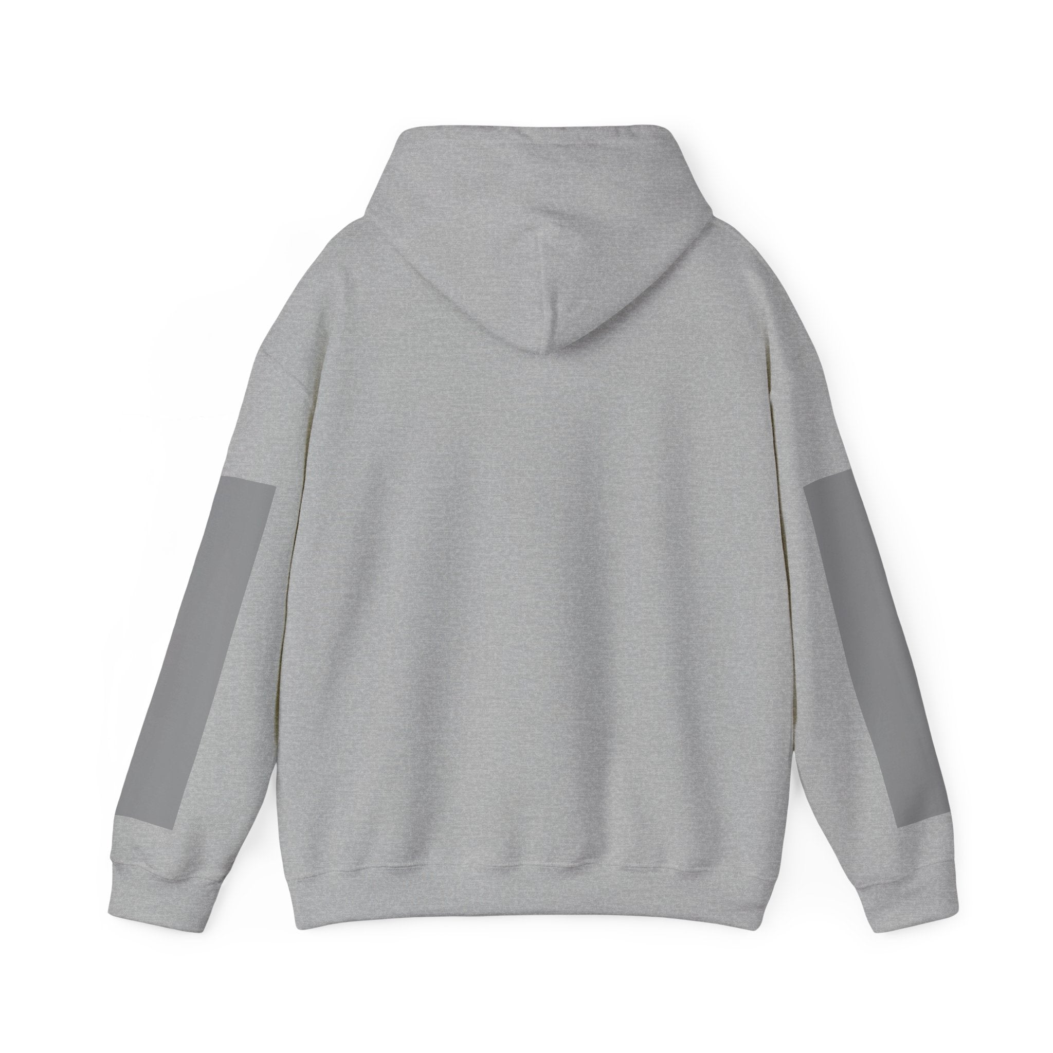 Raised Dolly- Gay Molly - Minimal Funny Graphic Pullover