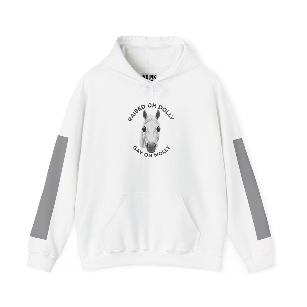 Raised Dolly- Gay Molly - Minimal Funny Graphic Pullover