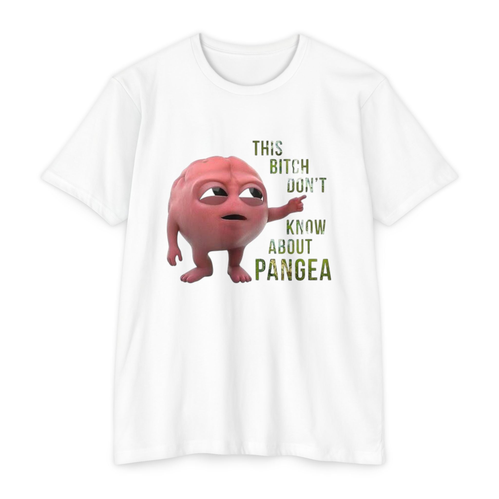 Funny Pangea T-shirt