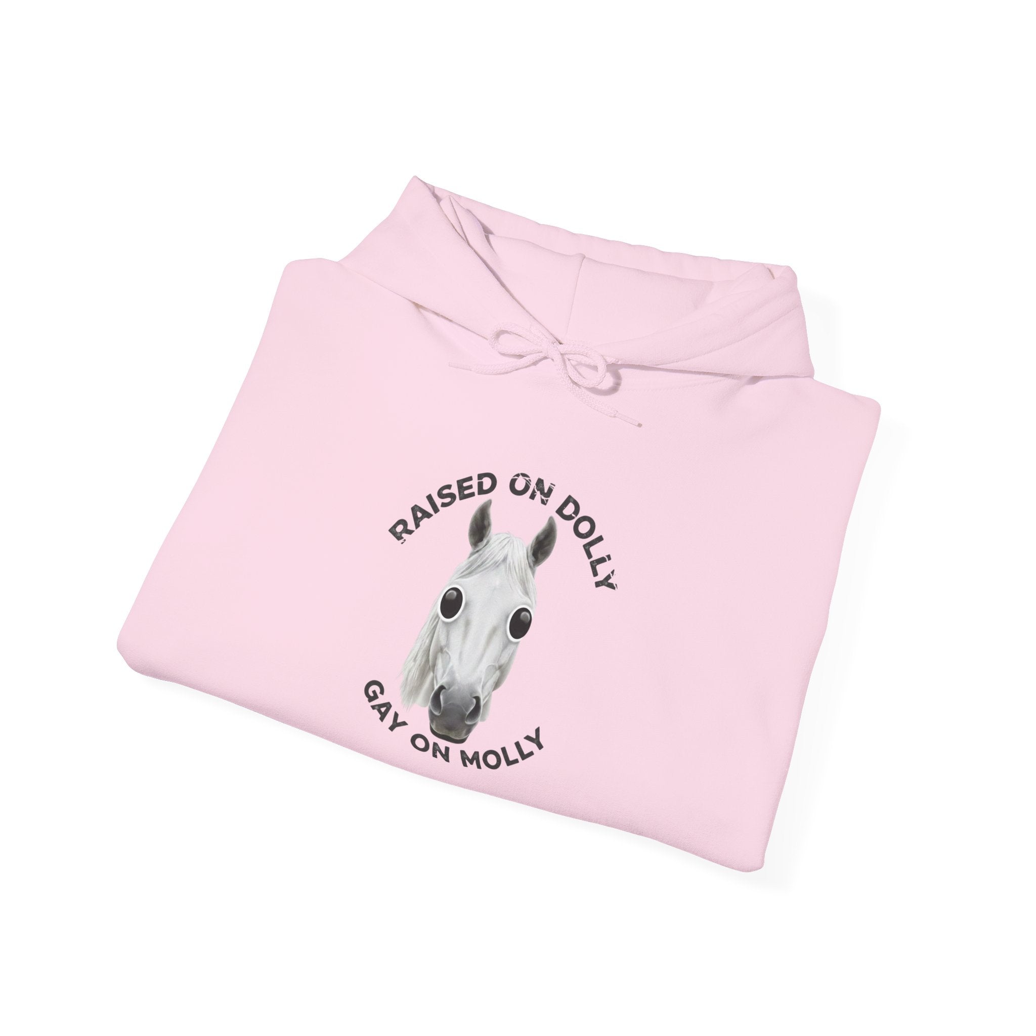 Raised Dolly- Gay Molly - Minimal Funny Graphic Pullover
