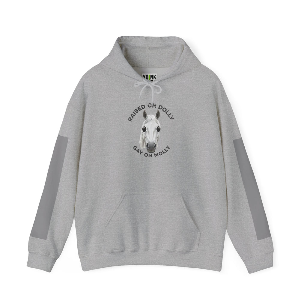 Raised Dolly- Gay Molly - Minimal Funny Graphic Pullover