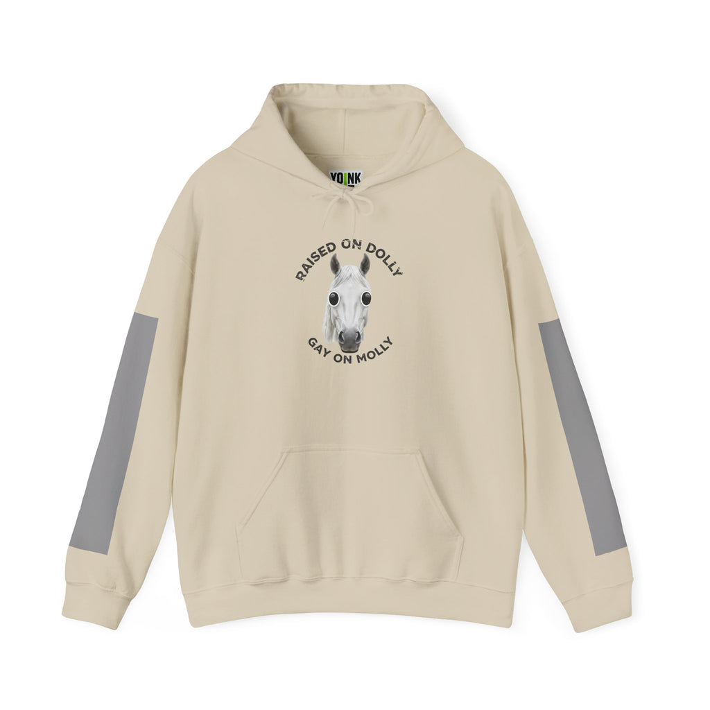 Raised Dolly- Gay Molly - Minimal Funny Graphic Pullover