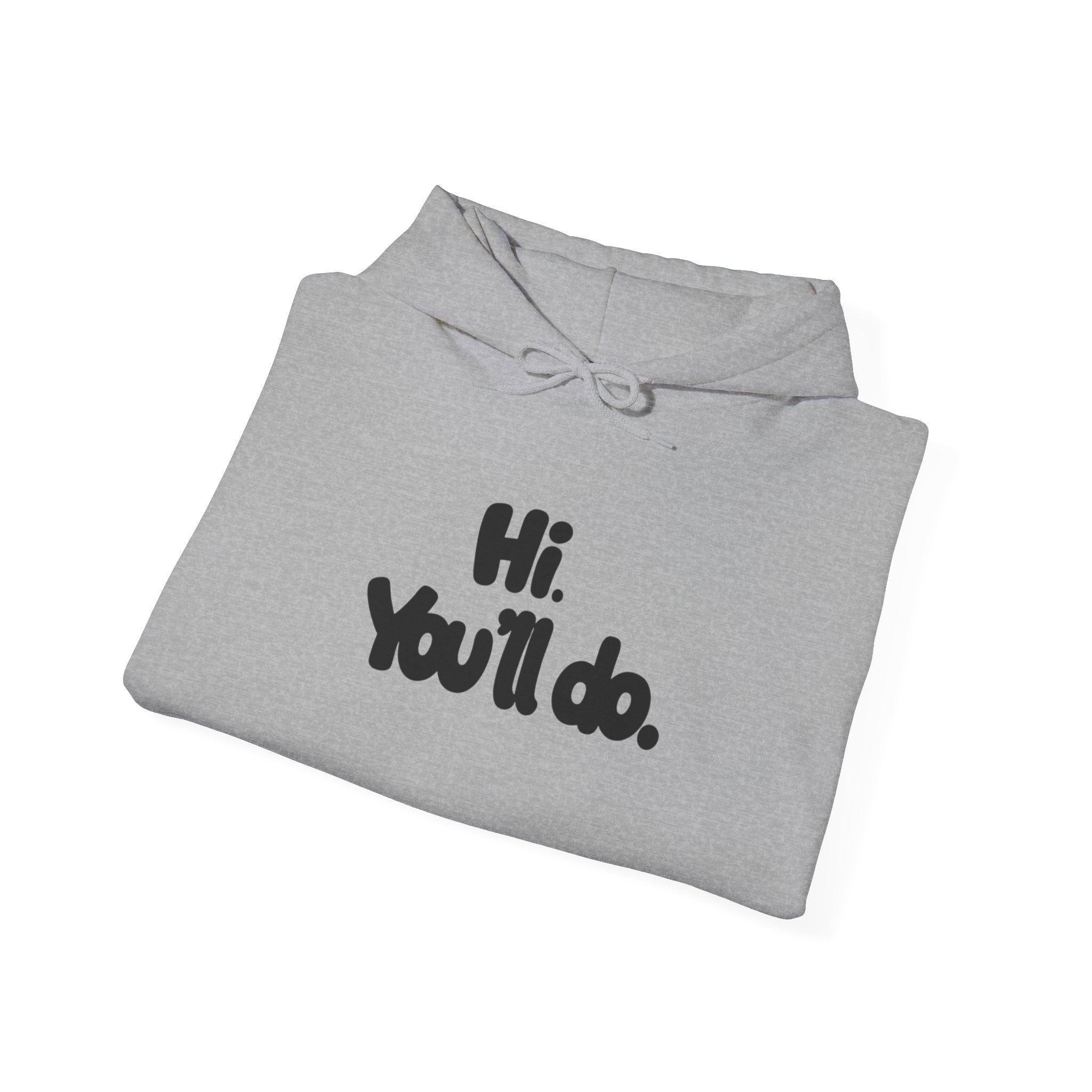 Hoodie — "Hi. You’ll do." Minimal Funny Graphic Pullover