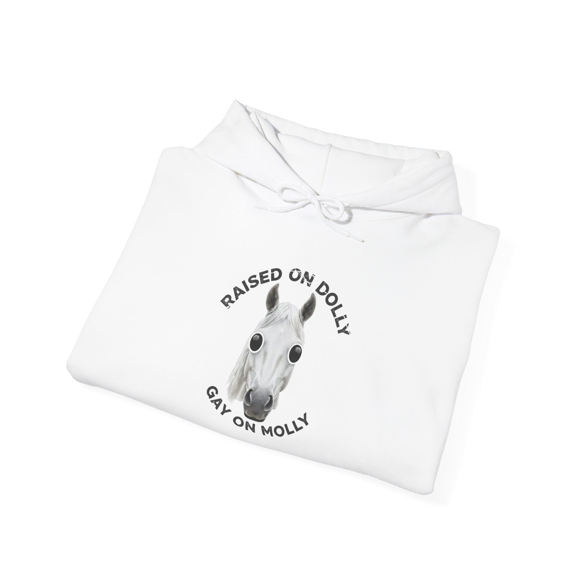 Raised Dolly- Gay Molly - Minimal Funny Graphic Pullover