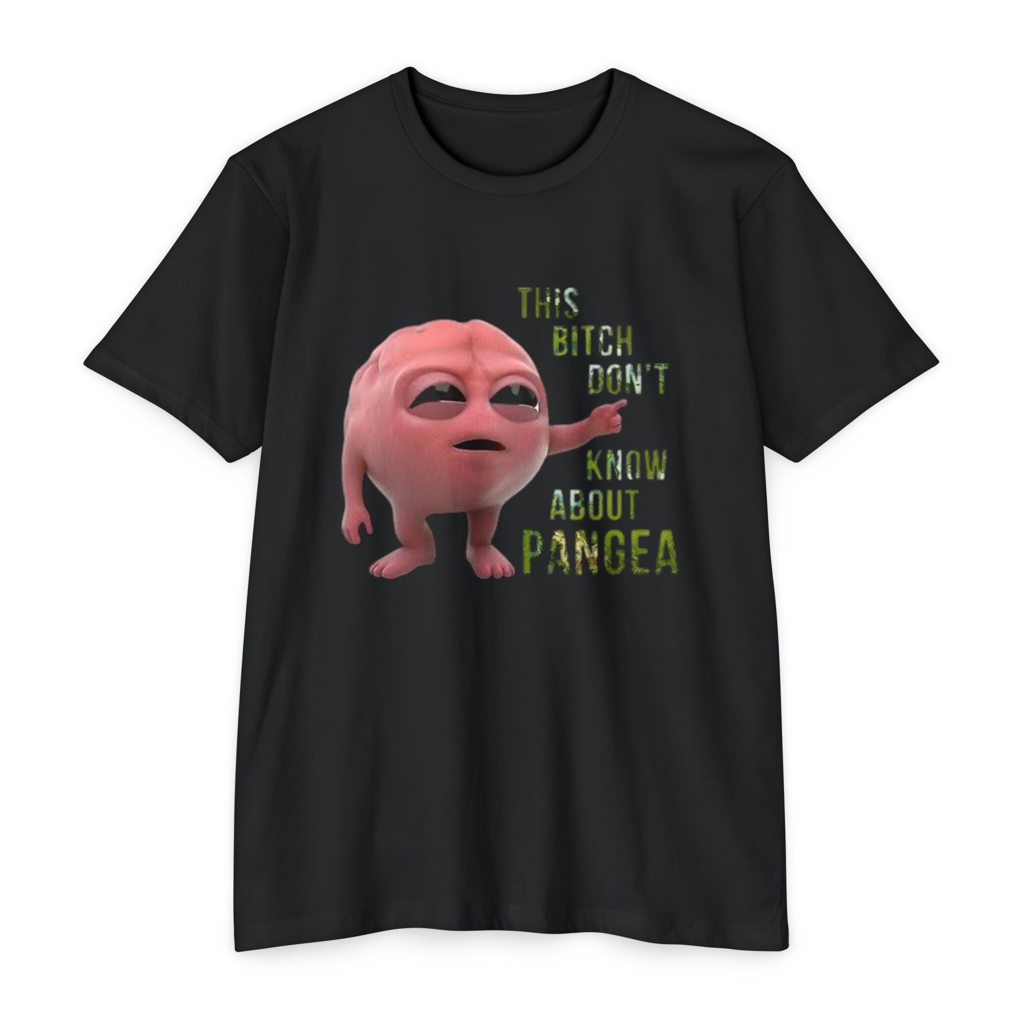 Funny Pangea T-shirt
