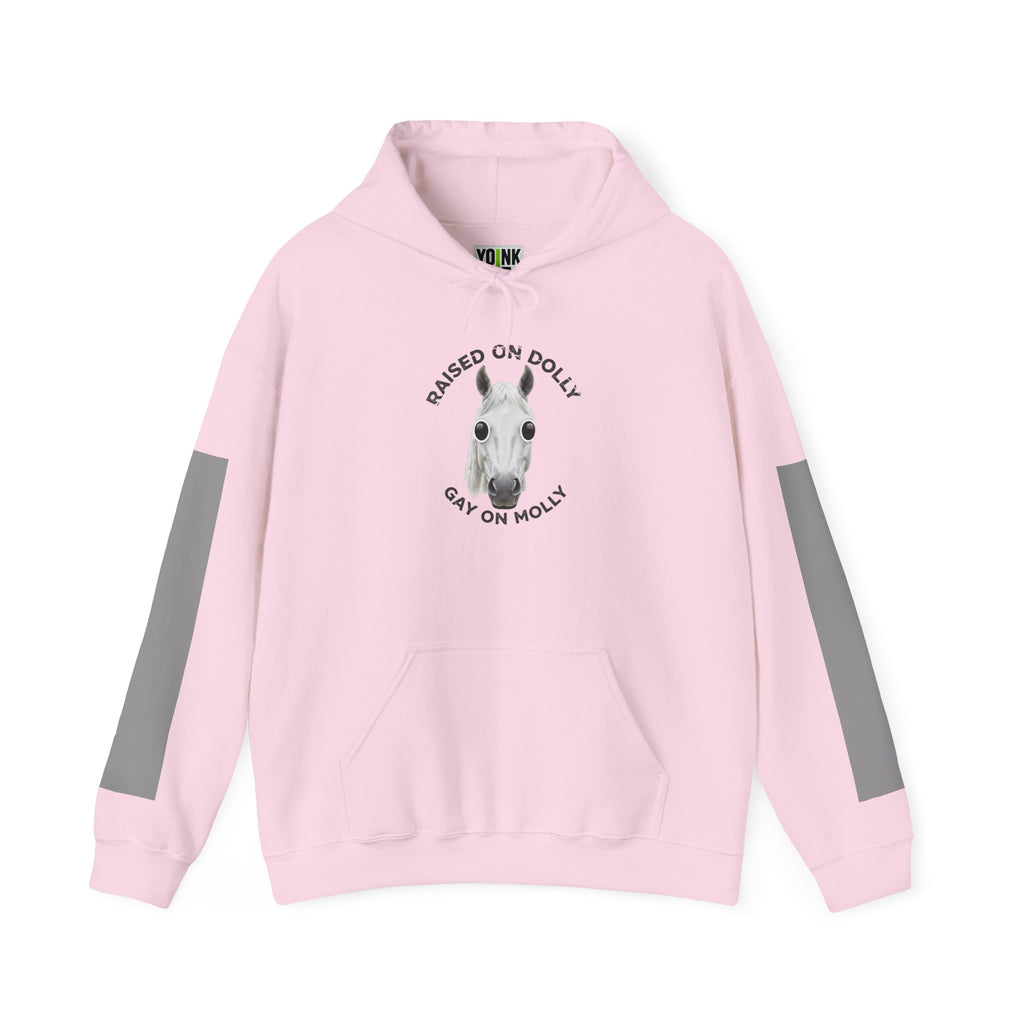 Raised Dolly- Gay Molly - Minimal Funny Graphic Pullover
