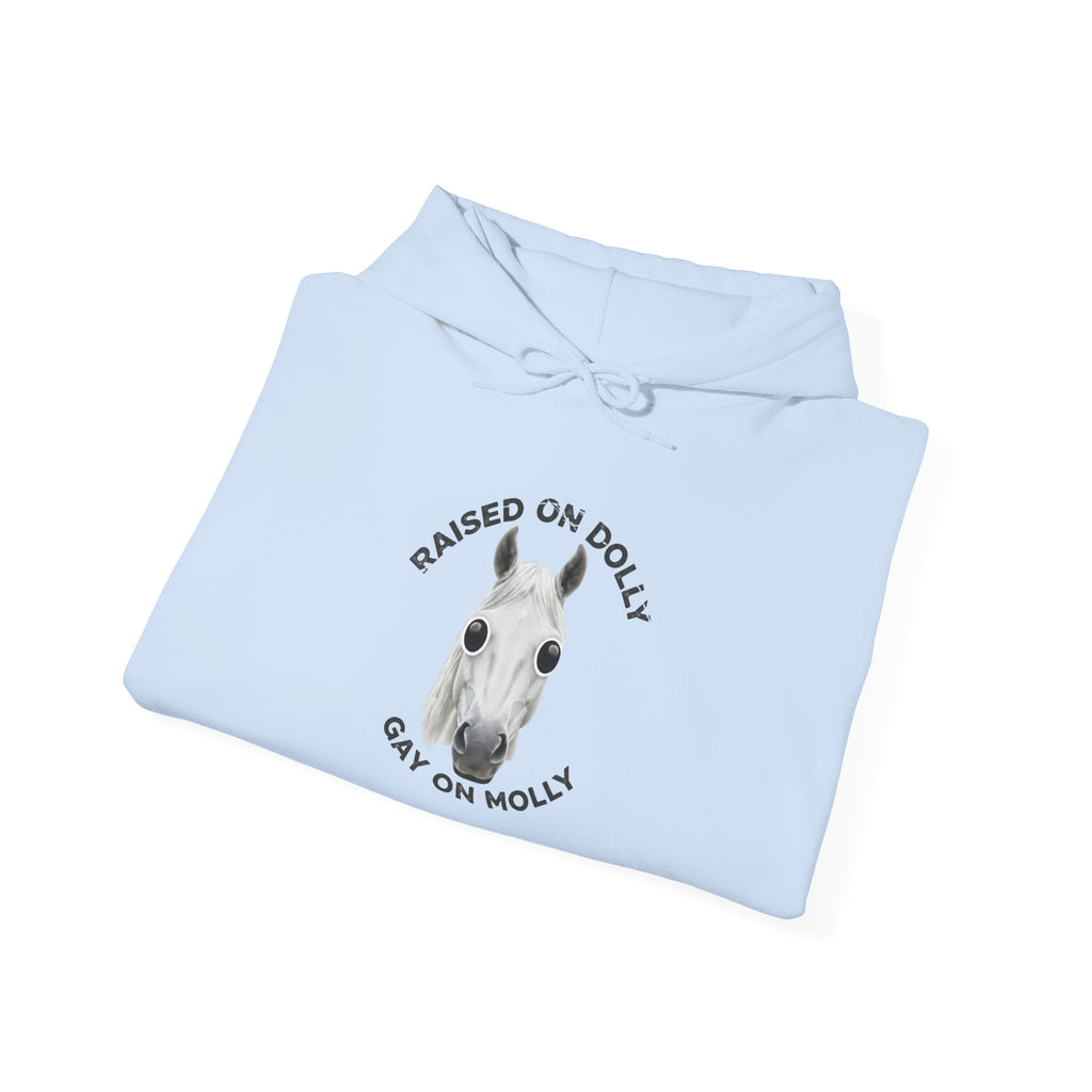 Raised Dolly- Gay Molly - Minimal Funny Graphic Pullover