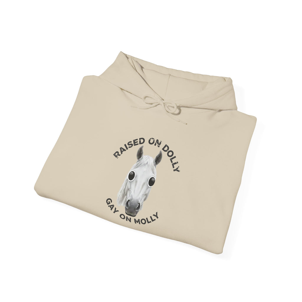 Raised Dolly- Gay Molly - Minimal Funny Graphic Pullover