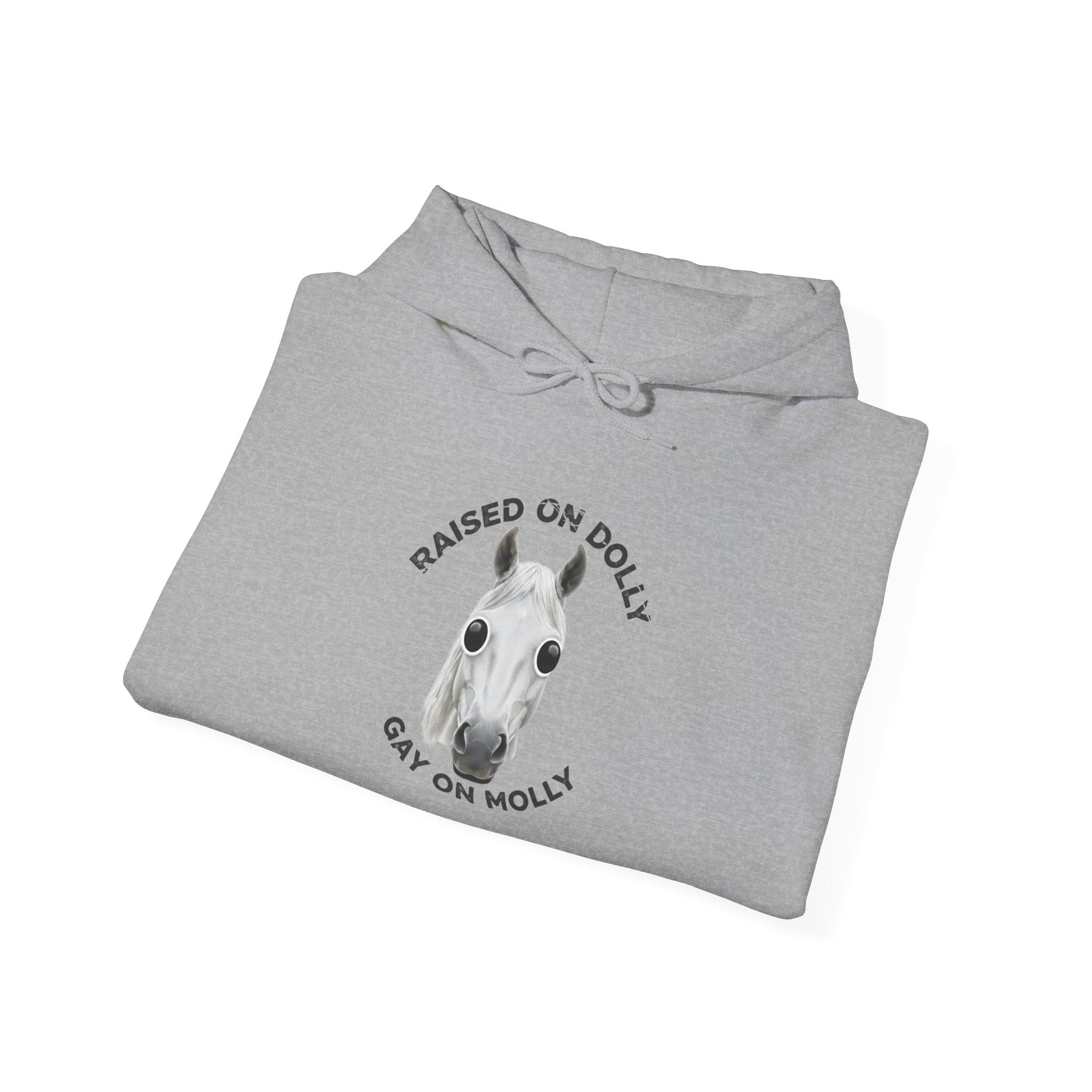 Raised Dolly- Gay Molly - Minimal Funny Graphic Pullover